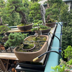 IrrigationSet: Eenvoudig Te Installeren Water Irrigatieset Voor Tuin