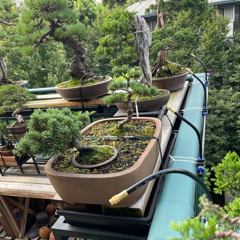 IrrigationSet: Eenvoudig Te Installeren Water Irrigatieset Voor Tuin