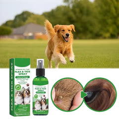 DogCatFri™ PetCare: Zachte, Gemakkelijke En Snelle Vlooien- En Teekenspray Voor Huisdieren