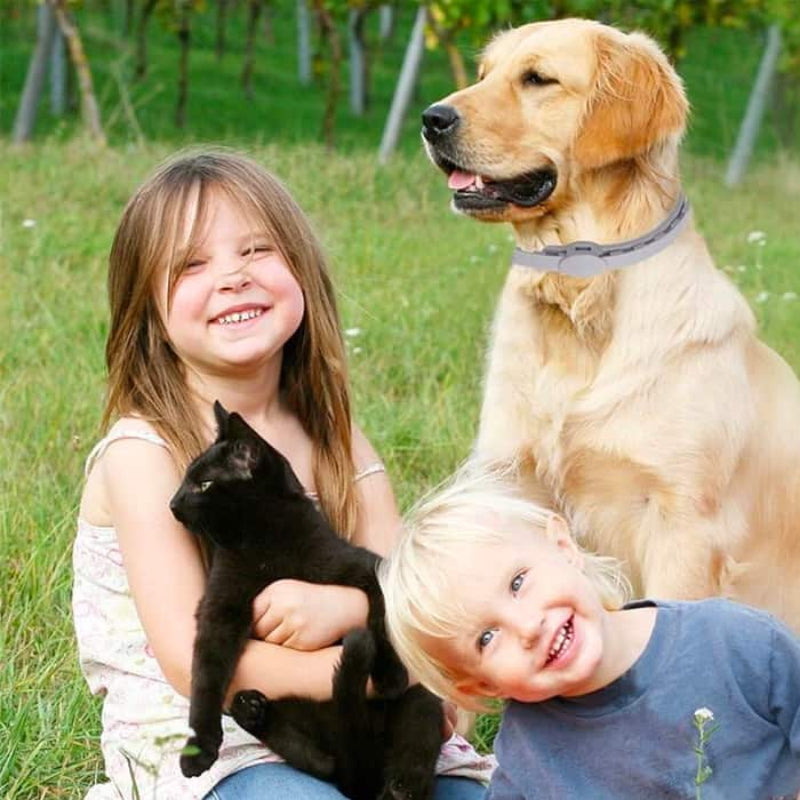 DogCatFri™ PetCollar 1+1 GRATIS - Verstelbare Insectenwerende Dierenhalsband