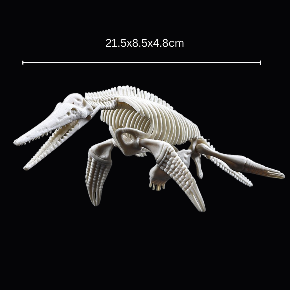 Kletshuts™ SkeletonDinosaur: Educatief Skelet Dinosaurus Fossiel Graaf Pakket