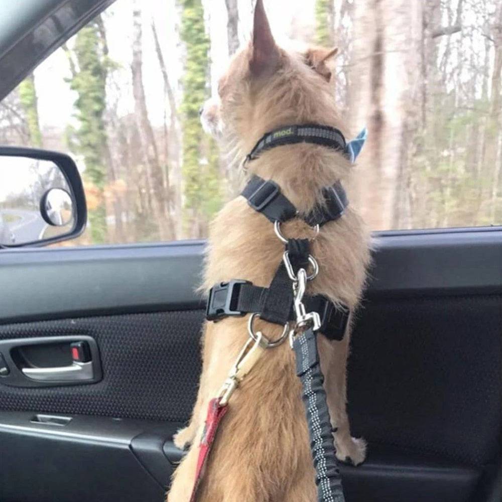 DogFri™ PawGuard 1+1 GRATIS: Hond Auto Stoel Gordel