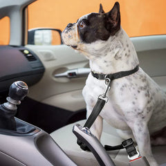 DogFri™ PawGuard 1+1 GRATIS: Hond Auto Stoel Gordel