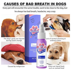 DogCatFri™ PetSpray: Huisdier Adem Verfrisser Spray