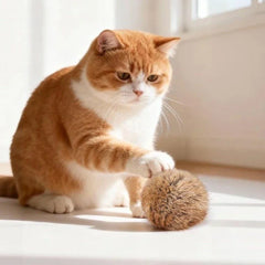 Catfri® PlushBall - Kattenkruid Pluche Konijnenbal Kat Speelgoed