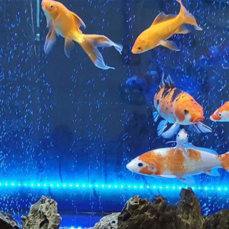 Ledsen™ GlowBubble: LED Aquarium Kleurrijke Gloeiende Bubbel Licht