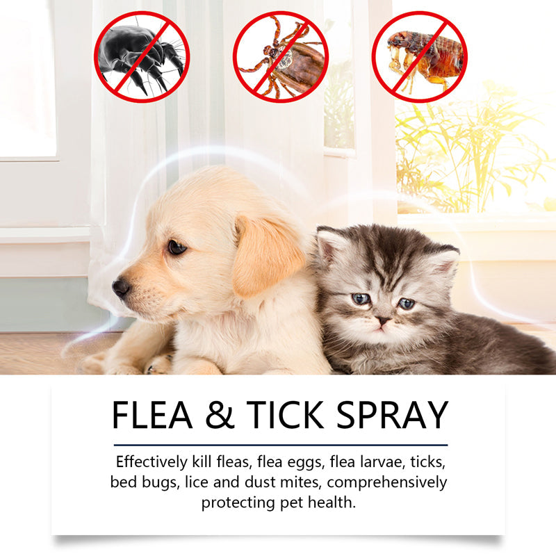 DogCatFri™ PetCare: Zachte, Gemakkelijke En Snelle Vlooien- En Teekenspray Voor Huisdieren