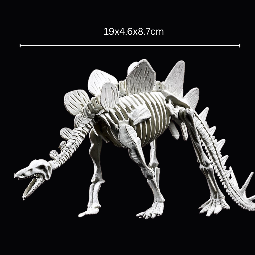 Kletshuts™ SkeletonDinosaur: Educatief Skelet Dinosaurus Fossiel Graaf Pakket