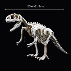 Kletshuts™ SkeletonDinosaur: Educatief Skelet Dinosaurus Fossiel Graaf Pakket