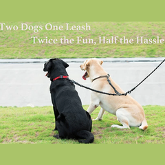 DogFri™ DogLeash: Nee Knoopvrij 360° Wervel Dubbel Wandel Hondenriem