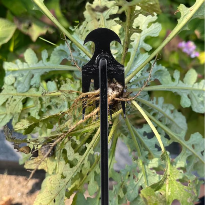 WeedRemover 1+1 GRATIS: Ergonomisch Onkruid Verwijderen Tuin Gereedschap